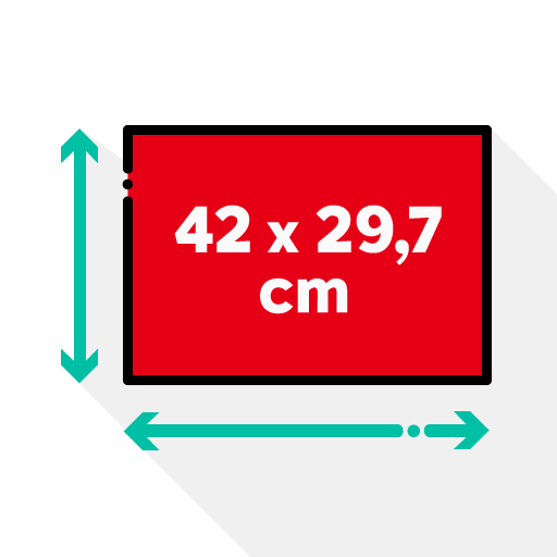 Dimension du poster - format A3 : 42 × 29,7 cm