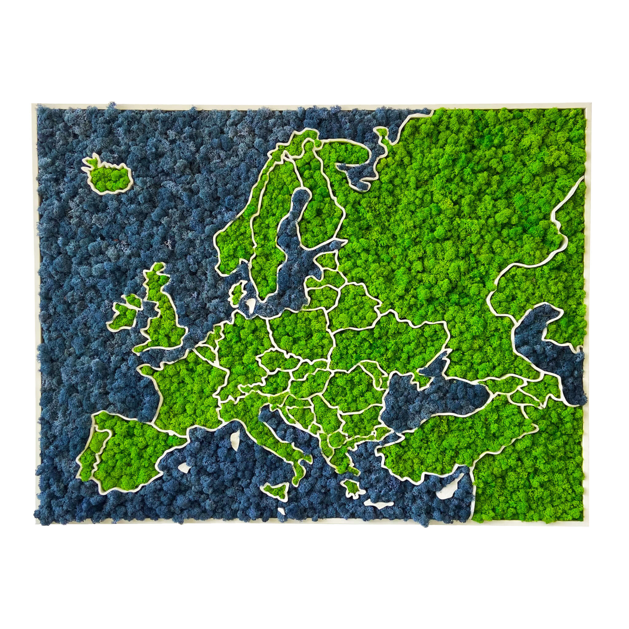 Carte de l'Europe en mousse 3D - lichen bio