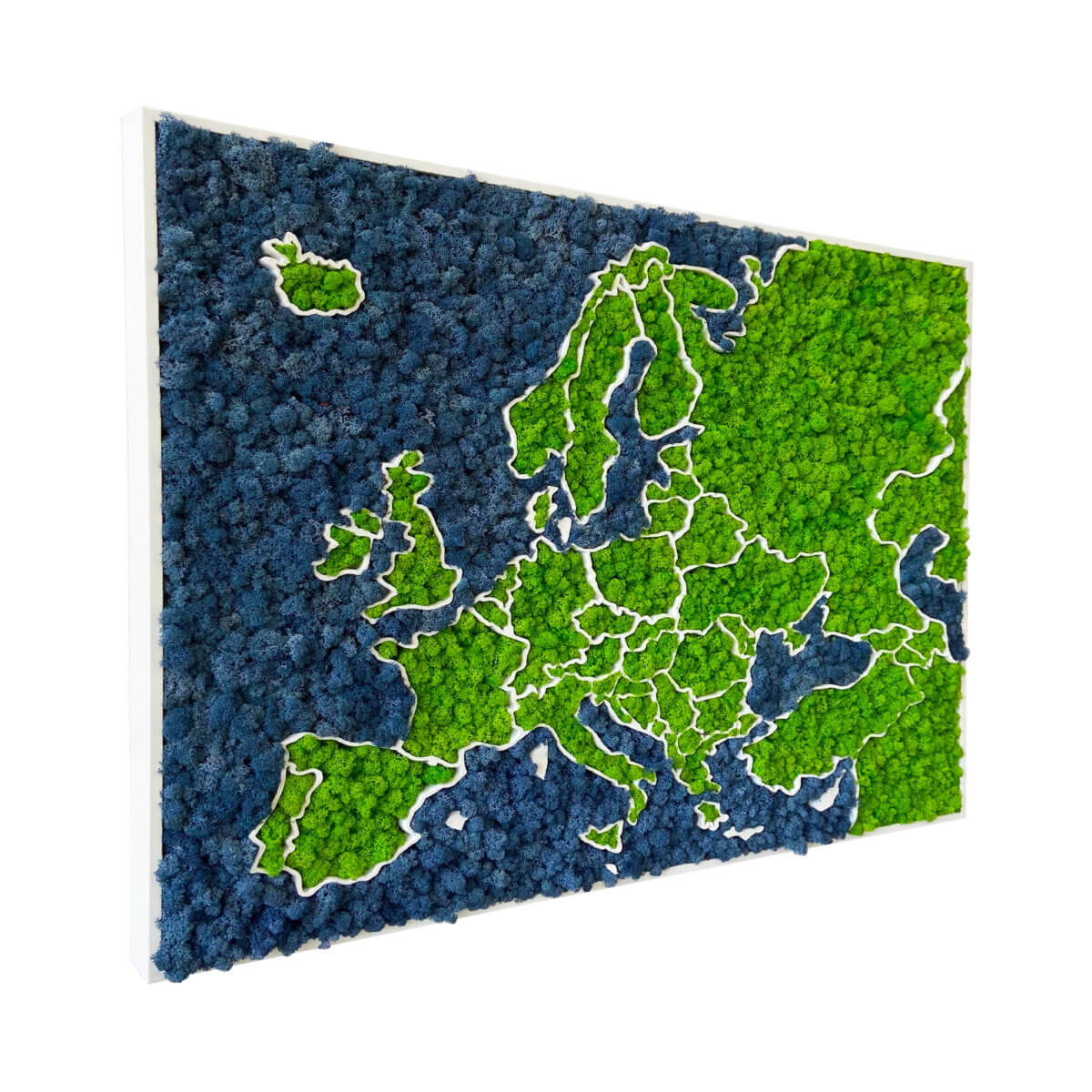 Carte de l'Europe en mousse - lichen bio