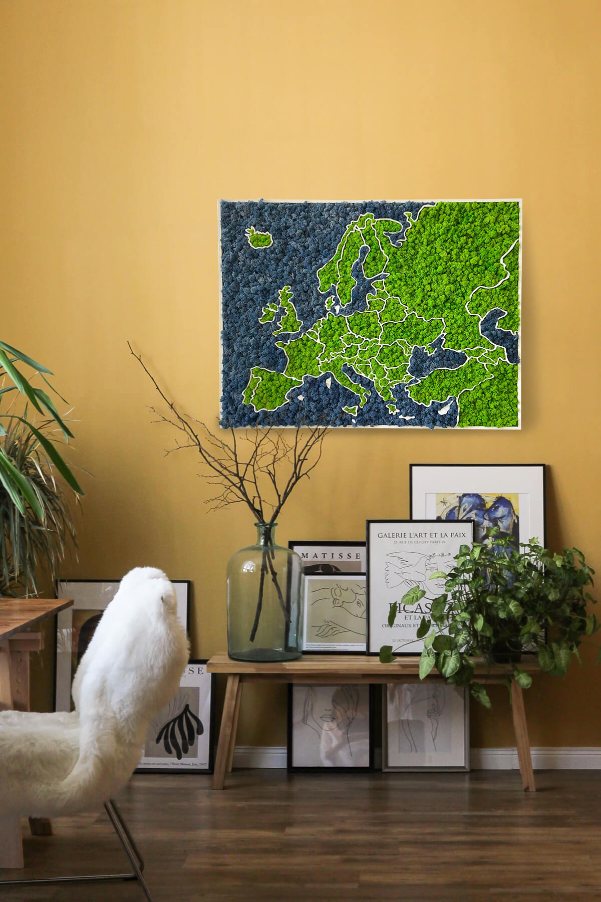 Carte de l'Europe en mousse - installation murale