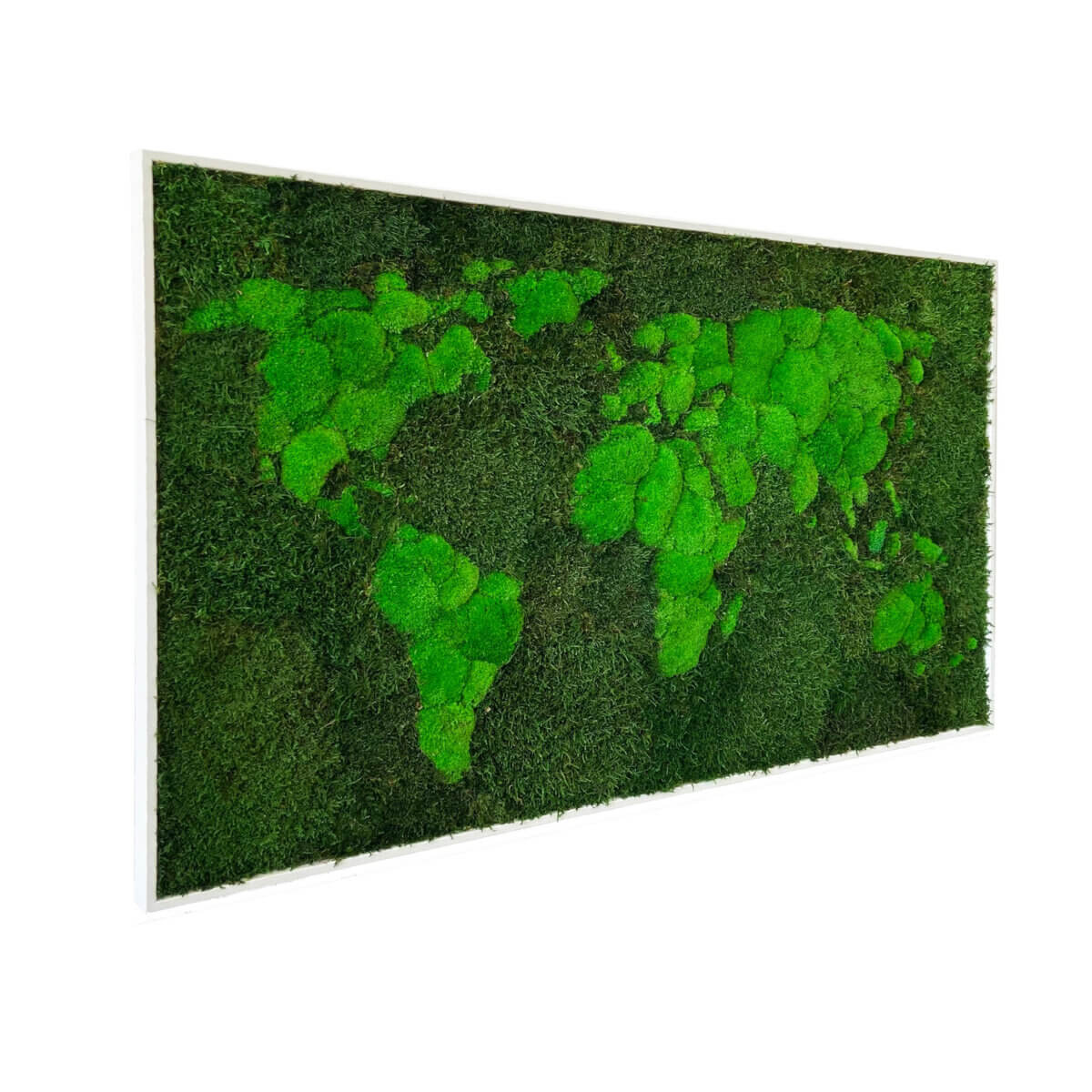 Carte du monde en mousse - lichen bio
